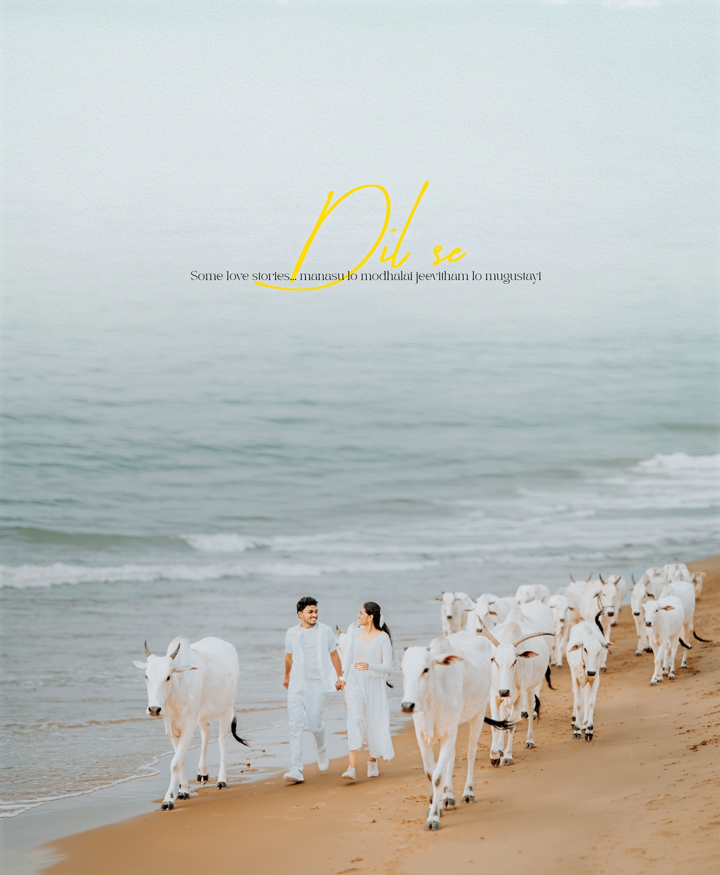 Couple walking beside cattle on a misty shoreline, photographed by NAG Photography